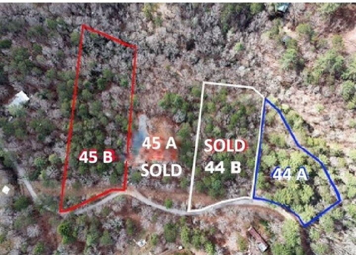 Property Photo:  Lot 44A Synacia Drive  GA 30559 