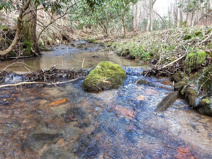 Property Photo:  Lot 44B Synacia Drive  GA 30559 