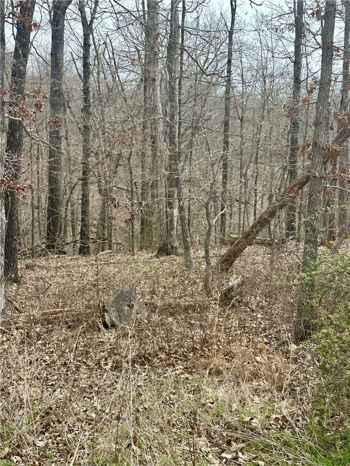 Property Photo:  000 Aberdeen Drive  AR 72715 