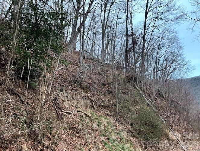 Property Photo:  65 Weeping Cherry Forest Road  NC 28730 