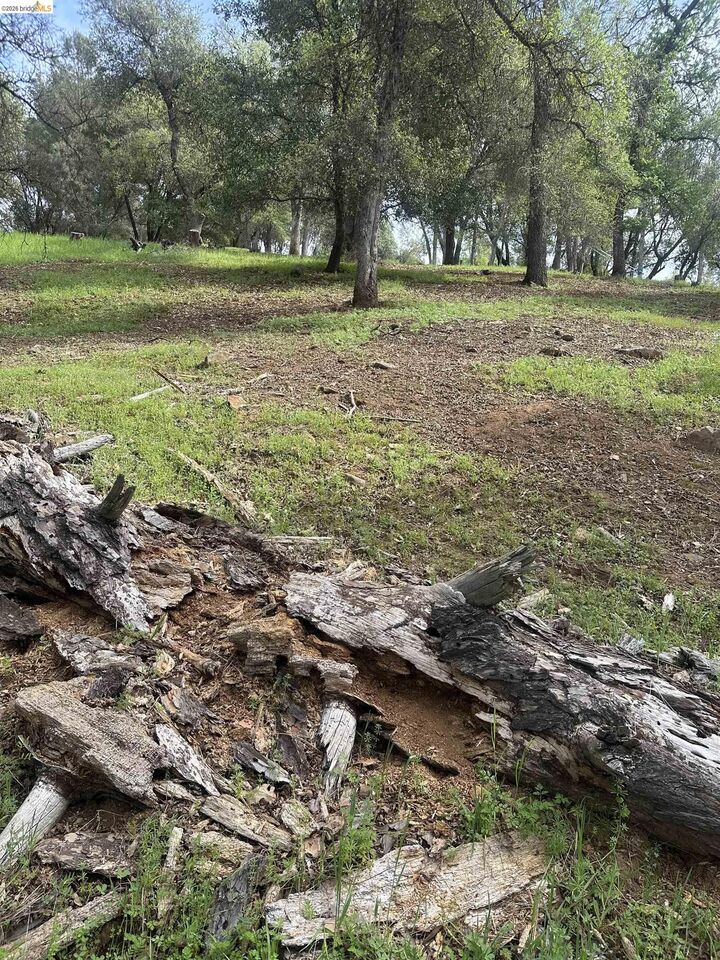 Property Photo: 3-154 Boitano Rd CA 95321