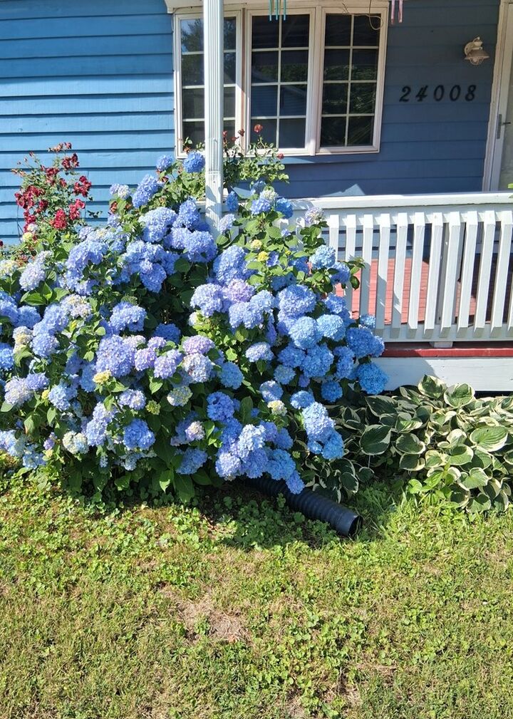 Property Photo: 24008 Bennett St VA 23421