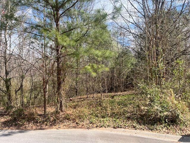 Property Photo:  78 Heights Hollow  GA 30101 