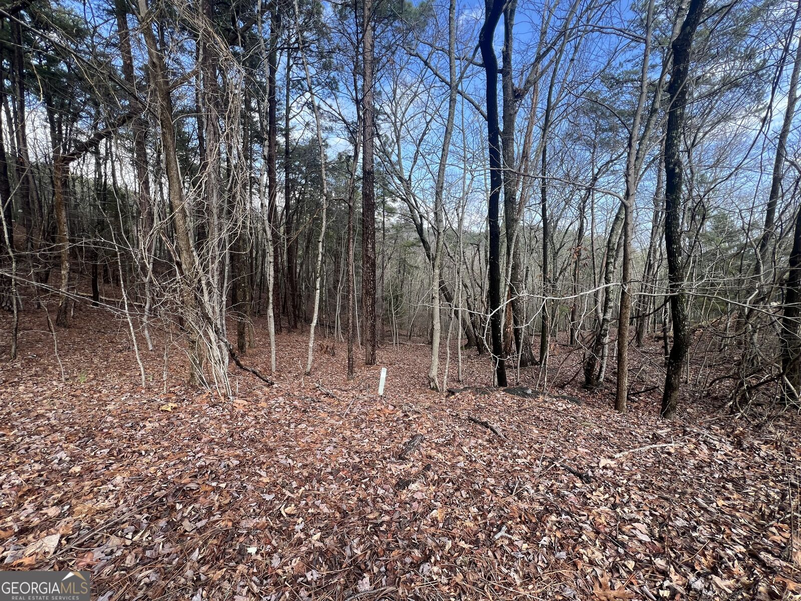 Property Photo: 0 Spring Ridge Trail GA 30165