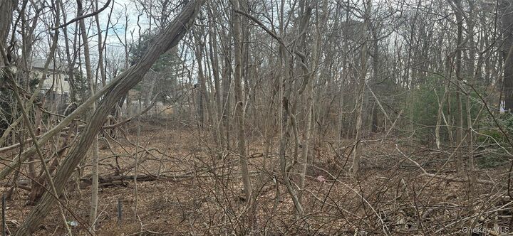 Property Photo:  Vl(46&Amp47) Bedford Avenue  NY 11950 