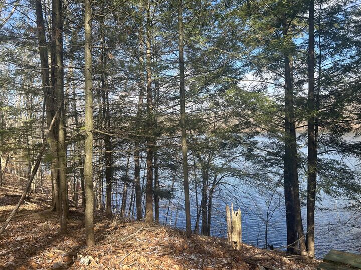 Property Photo: 8786 N Island Drive MI 49346