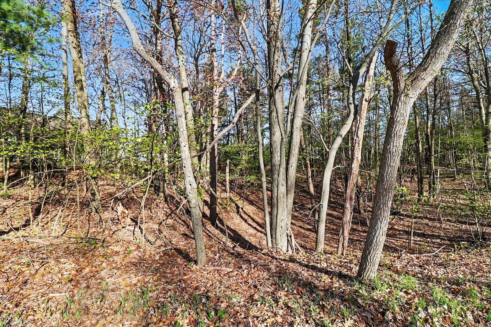Property Photo:  Lot 11 Silver Ridge Road  MI 49436 