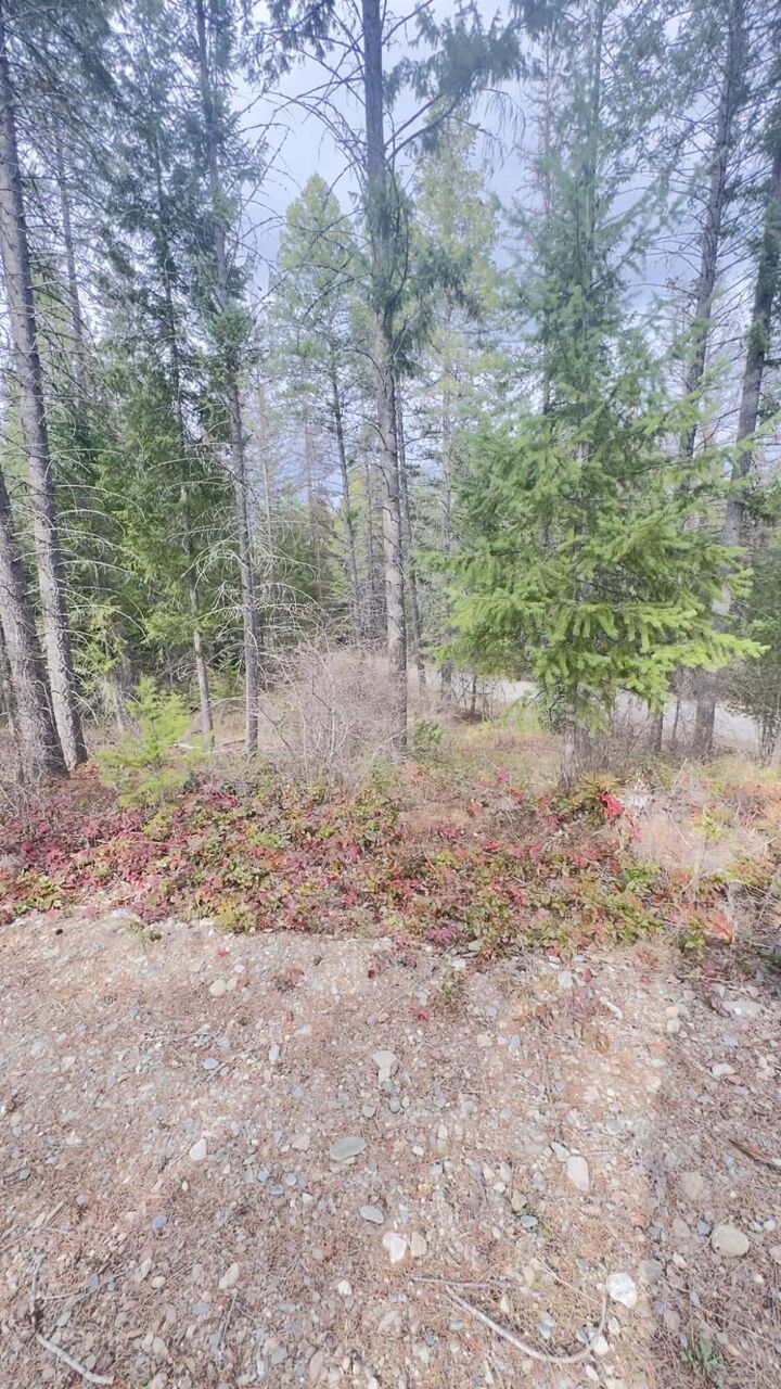 Property Photo: Nkn Wilderness Ave WA 99139