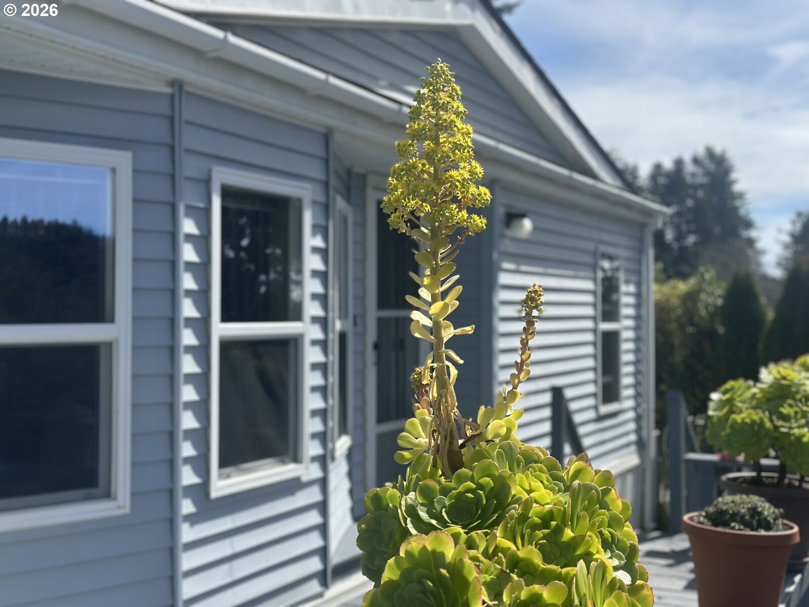 Property Photo:  96465 Coverdell Rd 20  OR 97415 