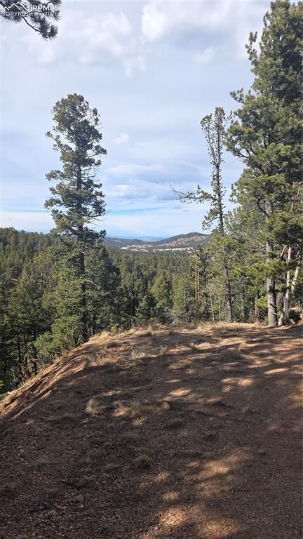 Property Photo: 169 Osoeola Road CO 80863