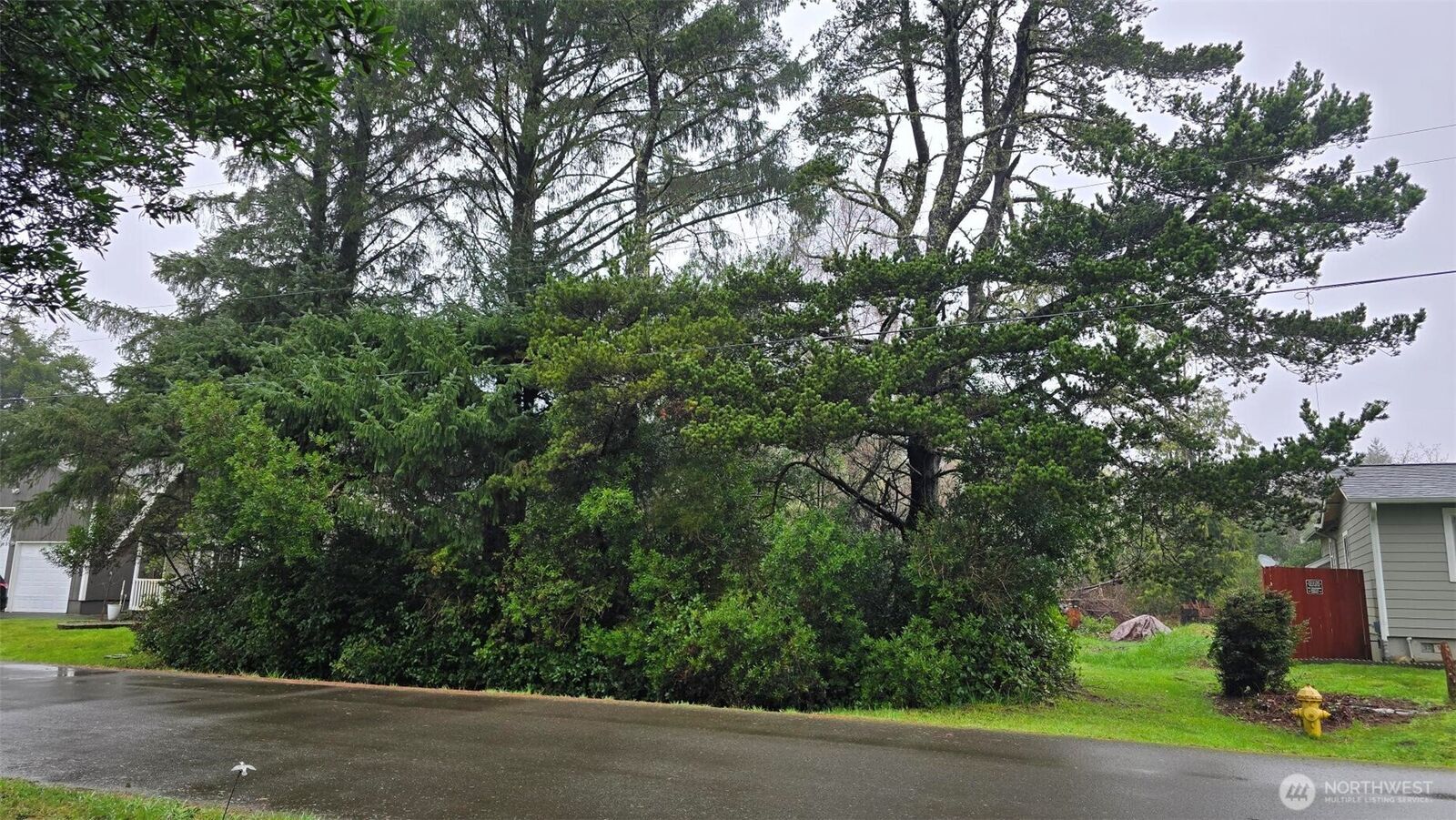 Property Photo:  248  Wishkah Street  WA 98569 