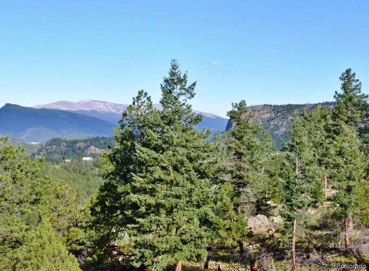 Property Photo: 14794 Wetterhorn Peak Trail CO 80470
