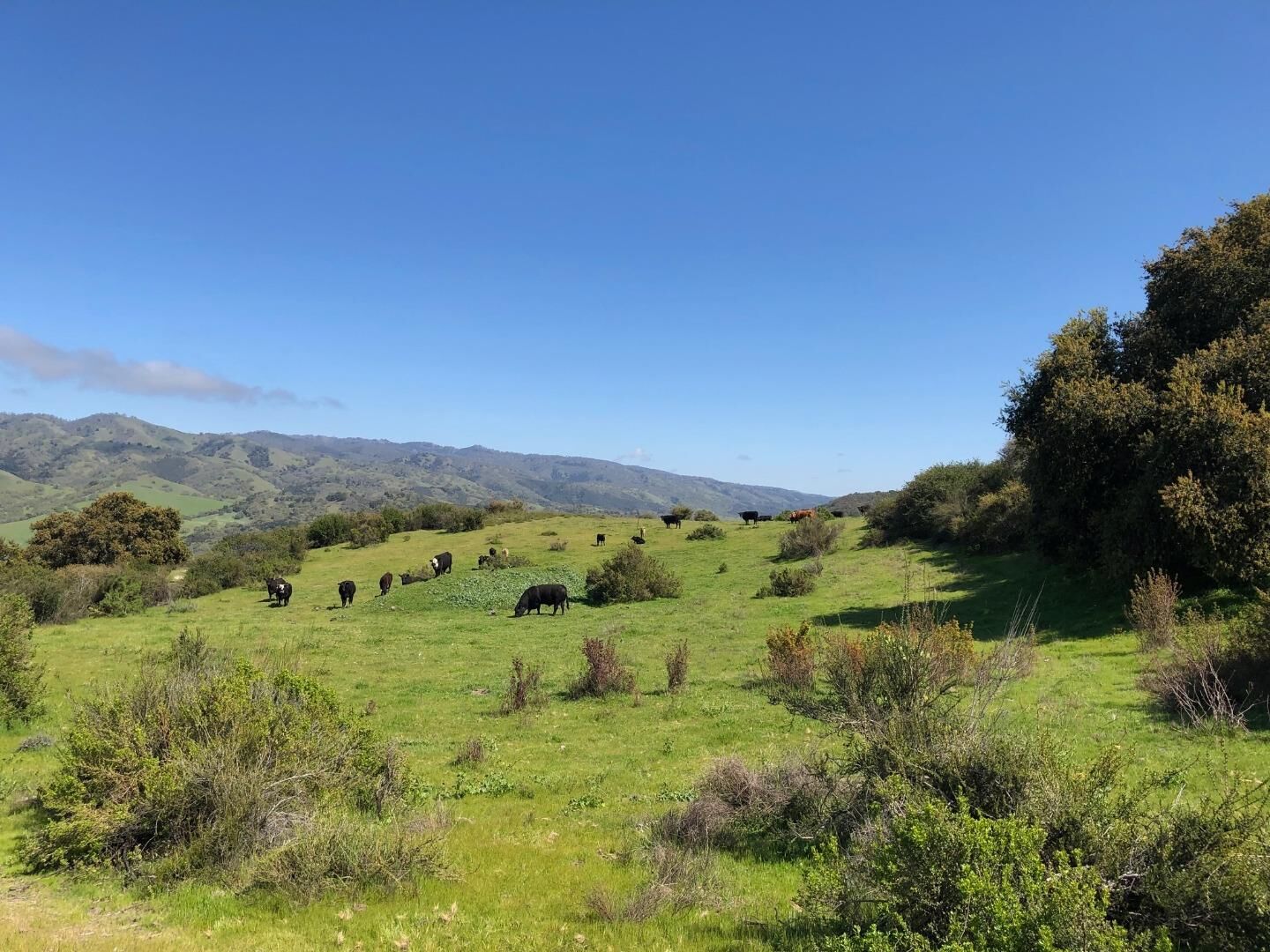 Property Photo:  36000 East Carmel Valley  CA 93924 