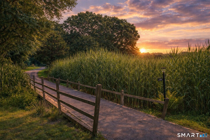 Property Photo: 1 Beamon Meadow Place CT 06475