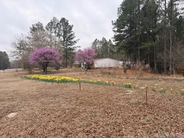 Property Photo:  4408 Hwy 376 S  AR 71751 