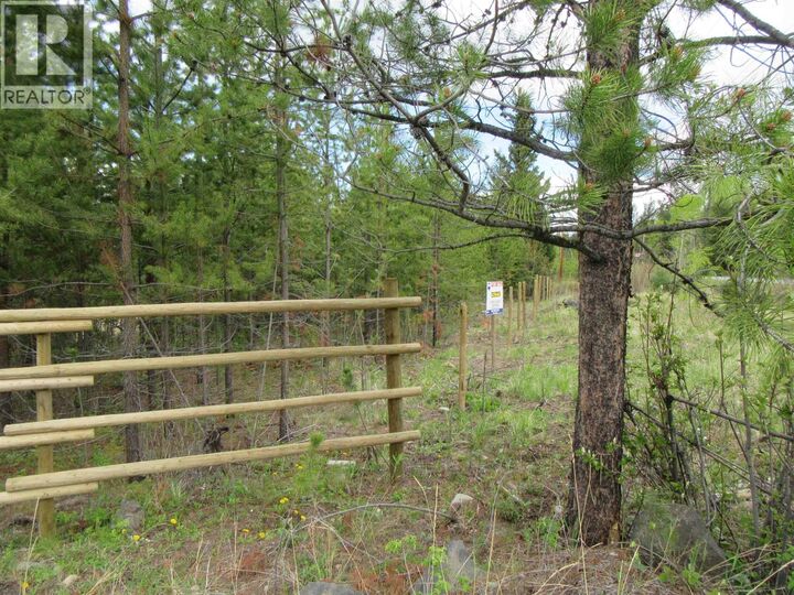 Property Photo:  B Lone Butte Horse Lake Road Lot  BC V0K 1X3 