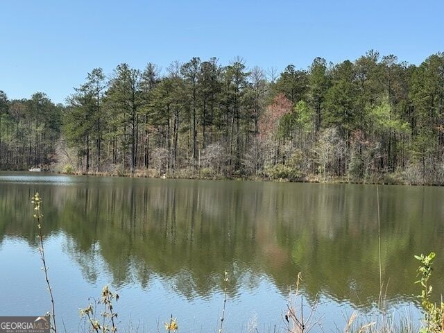 Property Photo: Lot 8 Pierce Chapel Road GA 30263
