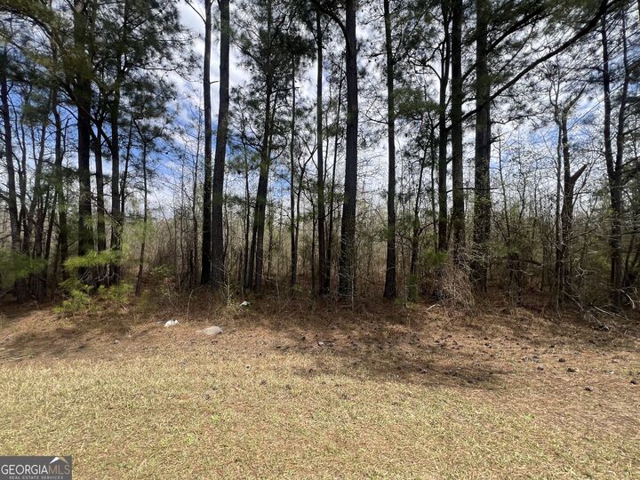 Property Photo: 0 Marshall Church Road GA 30824