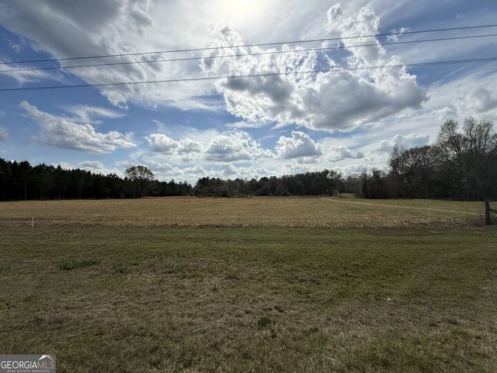 Property Photo:  997 NE Darwell Long Road  GA 31316 