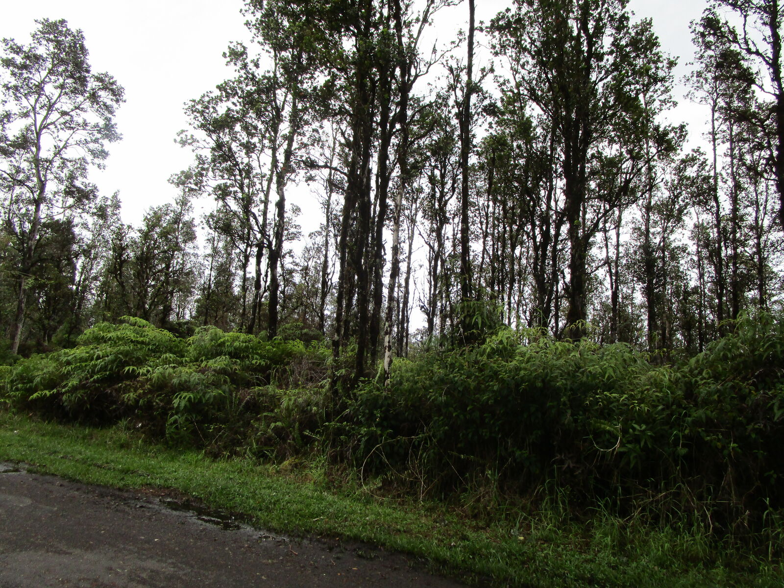 Property Photo: Hibiscus St HI 96771
