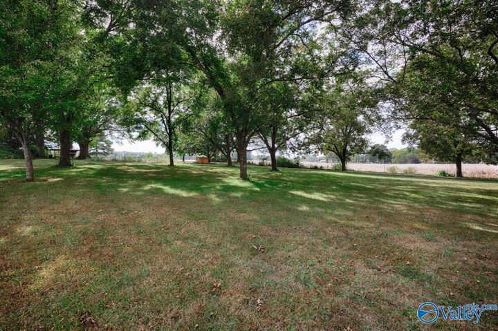 Property Photo:  142 County Lake Road  AL 35761 