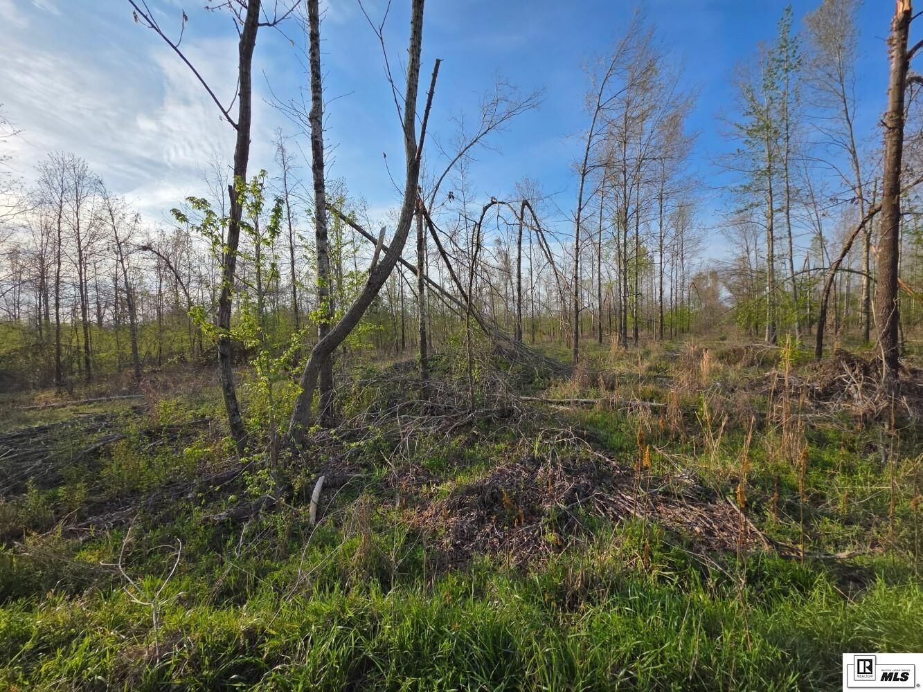 Property Photo: 0 Carey Smith Road LA 71259