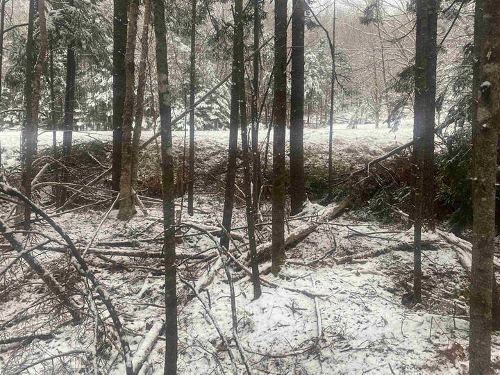 Property Photo: Lot 9 Highway 357 NS B0J 2L0
