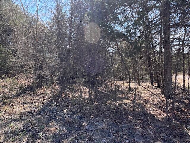 Property Photo:  24 Arapahoe Drive  AR 72631 