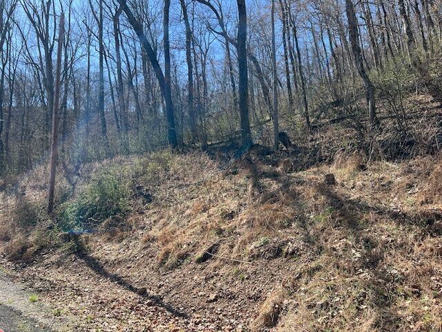 Property Photo:  44 Wildcat Drive  AR 72631 