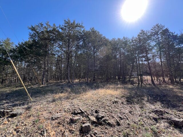 Property Photo:  96 Valley Drive  AR 72631 