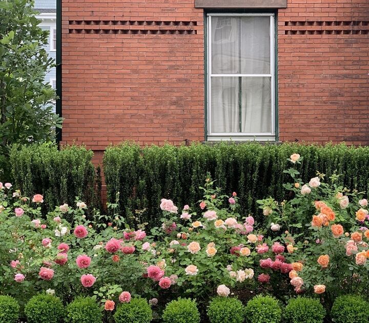 Property Photo: 43 Waverly St MA 02445