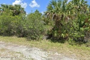 Property Photo:  645 Akola Terrace SW  FL 32908 