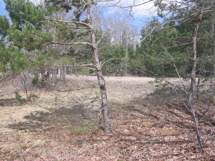 Property Photo:  2.6 Acres Norley Drive  ON K0M 1S0 