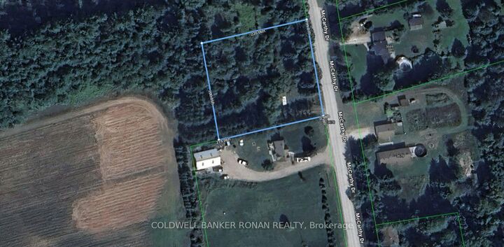 3678 McCarthy Drive — photo 1