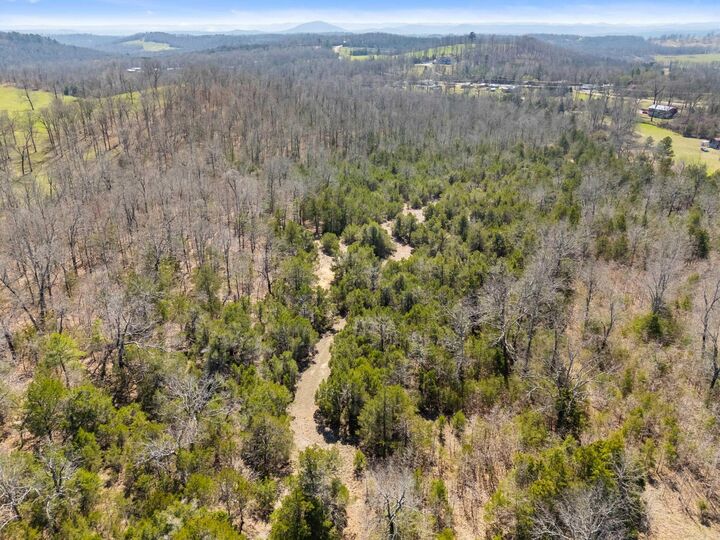 Property Photo: 000 Hwy 5 South AR 72653