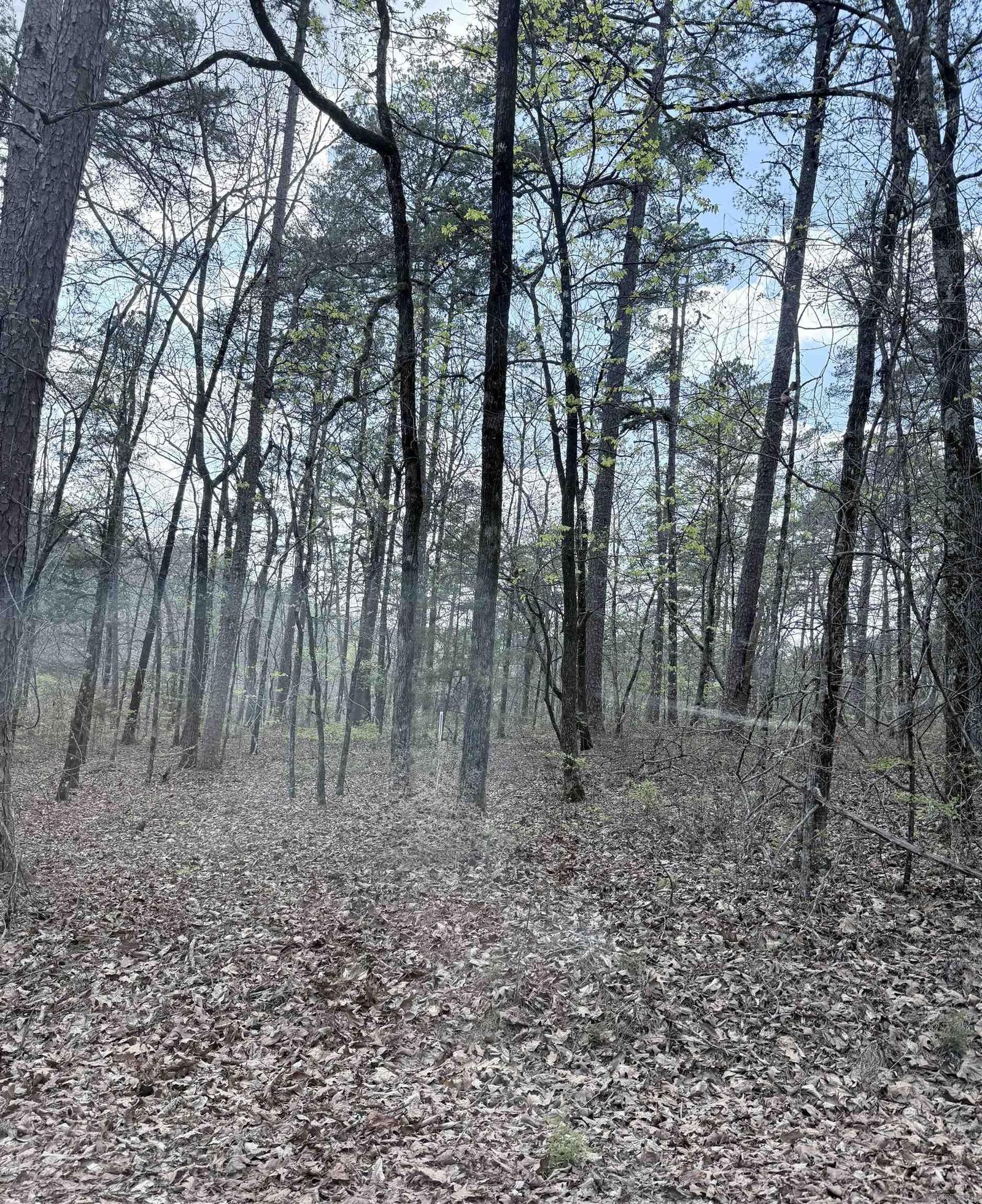 Property Photo:  6 Tafalla Place  AR 71909 