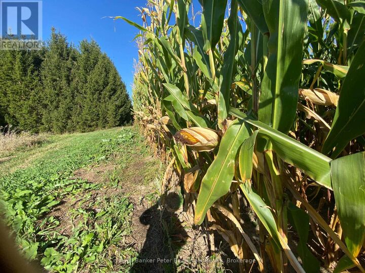 Property Photo:  1315 Concession 8 Corners  ON N0G 2T0 