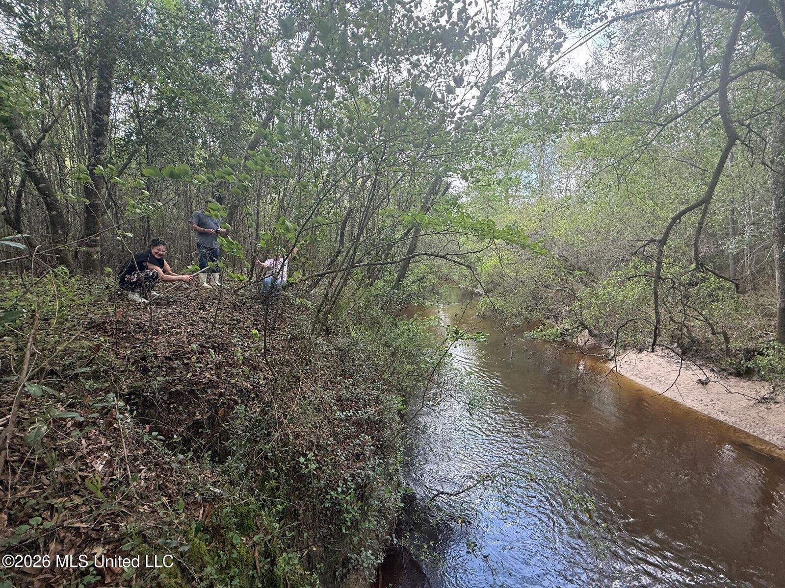 Property Photo:  347 E Old Highway 49  MS 39401 