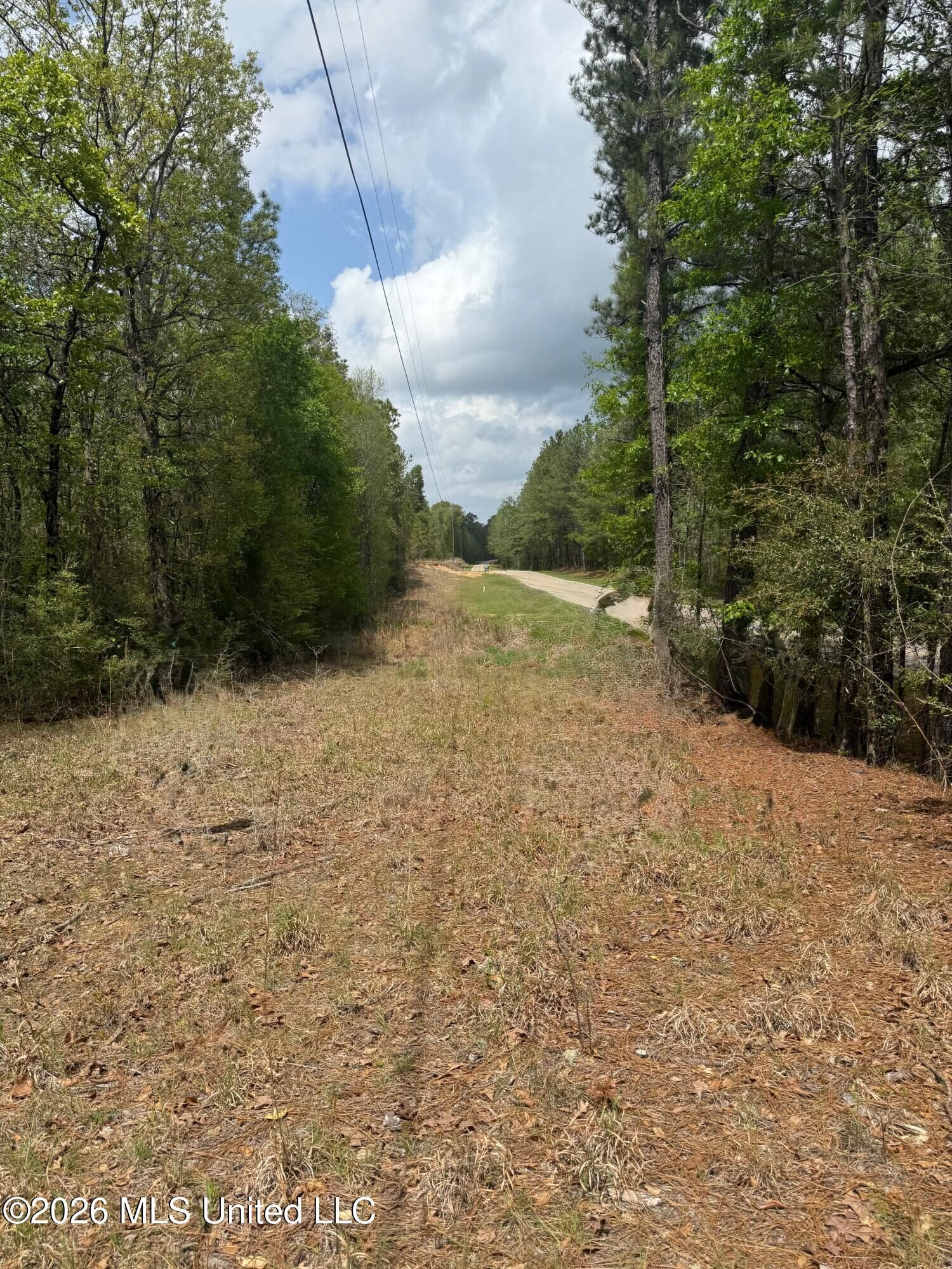 Property Photo:  347 E Old Highway 49  MS 39401 