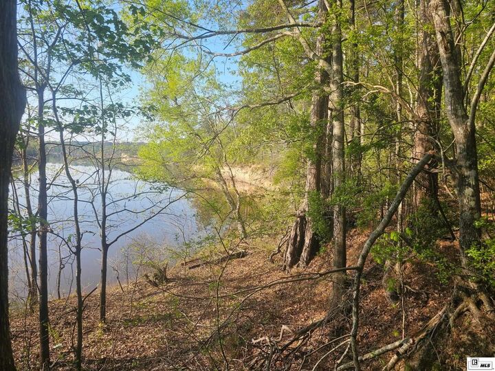 Property Photo: 0 Iley Evans Road LA 71292