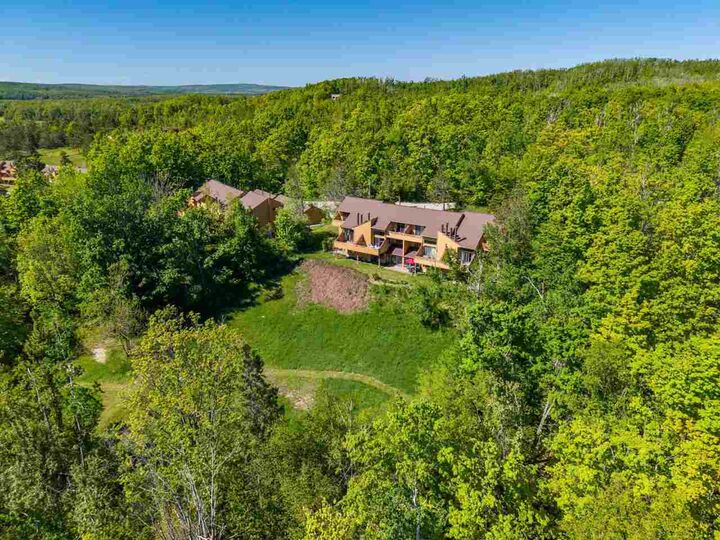 Property Photo:  4749 S Pleasantview 91  MI 49740 