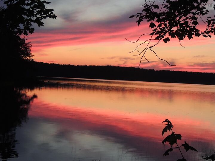 Property Photo:  54 Charlotte Lane  NS B0T 1E0 