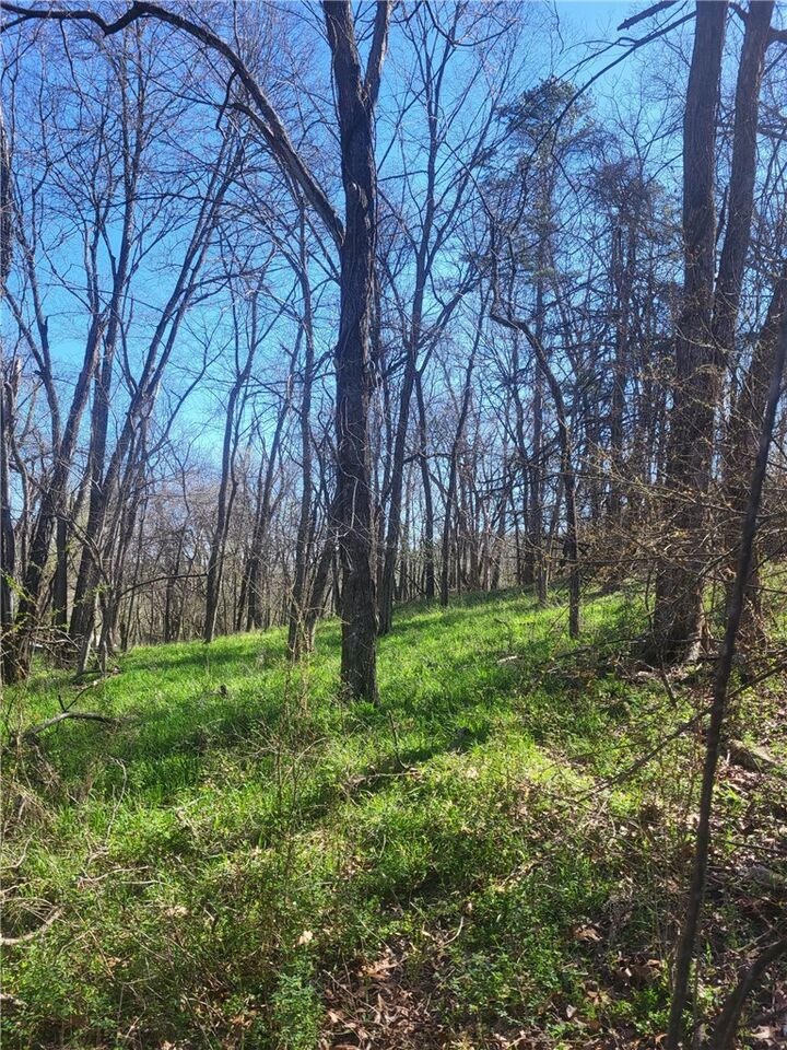 Property Photo:  Lots 6,7,8 Frisco-Grand  AR 72632 