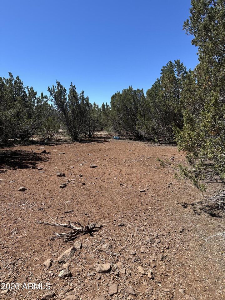 Property Photo:  30 Acr 3190 Road 351  AZ 85940 