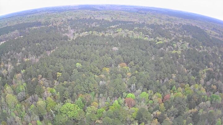 Property Photo:  Tbd Salcro Lane Interior Parcel Highway  SC 29481 