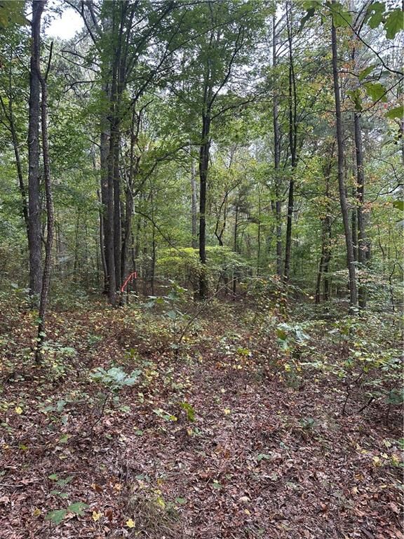 Property Photo:  3842 Salacoa-Tract A  GA 30183 