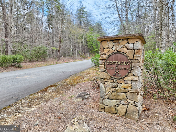 Property Photo:  00 Turtle Cove 12  GA 30525 