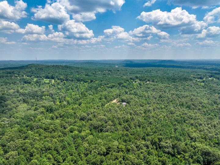 Property Photo:  229 Pr 3900 Rd  TX 75644 