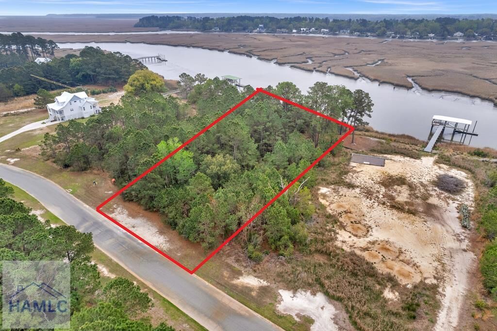 Property Photo:  Lot 29 Jerico Marsh Road  GA 31320 