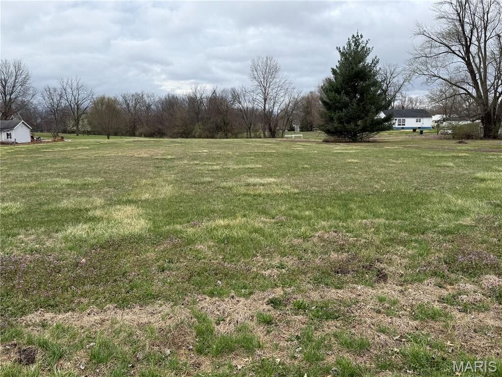 Property Photo: Tbd Lot 37 IL 62093